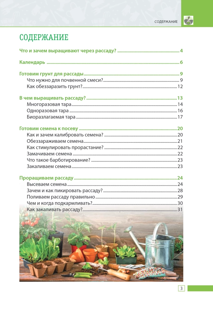 Seedlings Without Mistakes: How to Grow a Rich Harvest with Your Own Hands