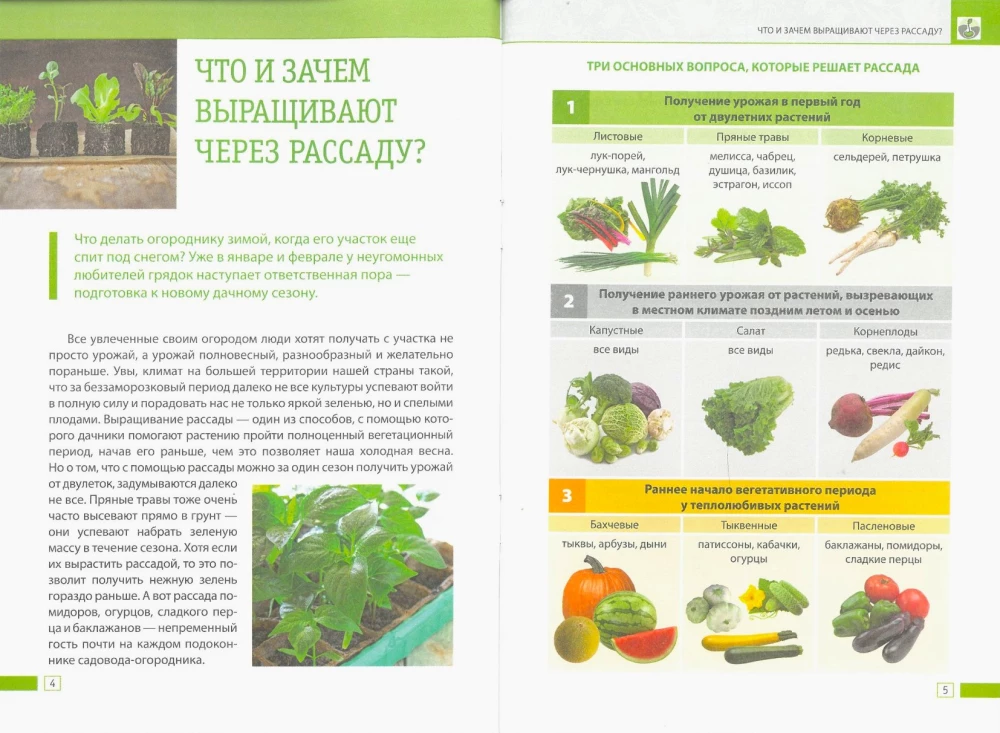 Seedlings Without Mistakes: How to Grow a Rich Harvest with Your Own Hands