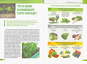 Seedlings Without Mistakes: How to Grow a Rich Harvest with Your Own Hands