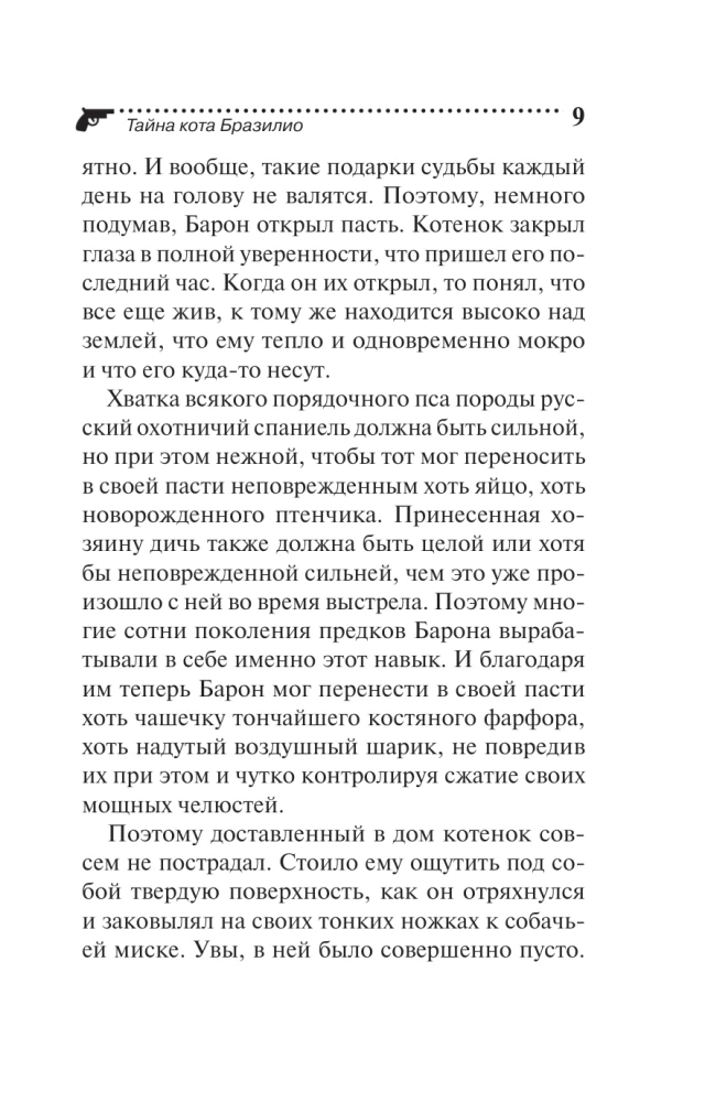 Тайна кота Бразилио