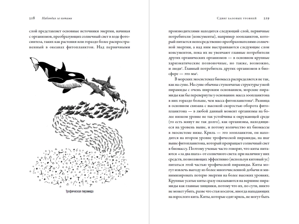 Stebint banginius. Praeitis, dabartis ir ateitis paslaptingų milžinų