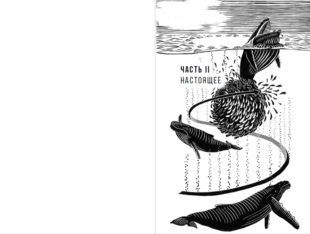 Stebint banginius. Praeitis, dabartis ir ateitis paslaptingų milžinų