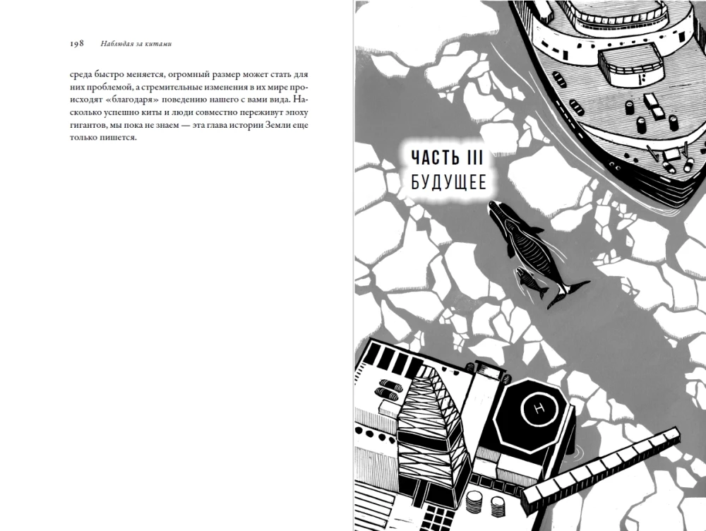 Stebint banginius. Praeitis, dabartis ir ateitis paslaptingų milžinų