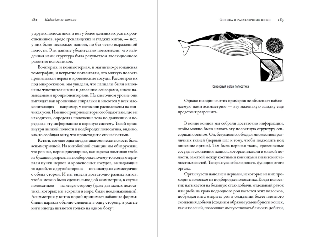 Stebint banginius. Praeitis, dabartis ir ateitis paslaptingų milžinų