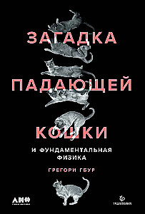 Kritusios katės mįslė ir fundamentali fizika