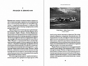 Kritusios katės mįslė ir fundamentali fizika