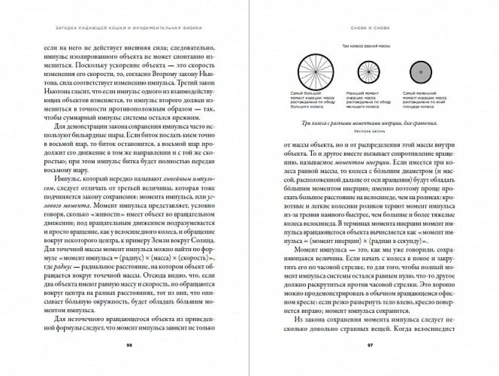 Kritusios katės mįslė ir fundamentali fizika