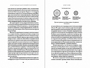 Kritusios katės mįslė ir fundamentali fizika