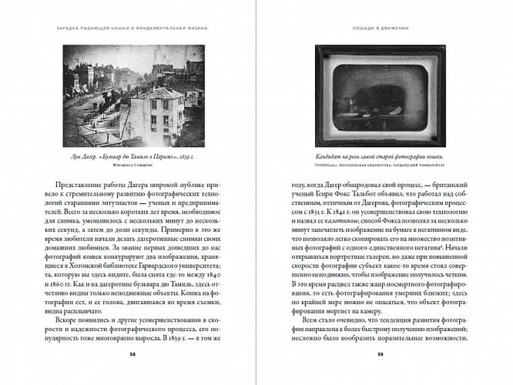 Kritusios katės mįslė ir fundamentali fizika