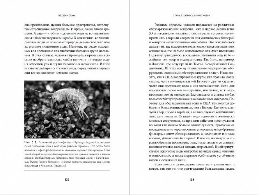 Ne vienas namuose: Natūrali mūsų būstų istorija nuo bakterijų iki daugiašalių, tarakonų ir vorų