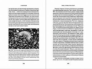 Ne vienas namuose: Natūrali mūsų būstų istorija nuo bakterijų iki daugiašalių, tarakonų ir vorų