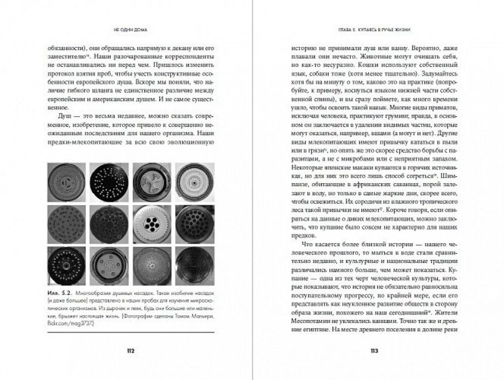 Ne vienas namuose: Natūrali mūsų būstų istorija nuo bakterijų iki daugiašalių, tarakonų ir vorų