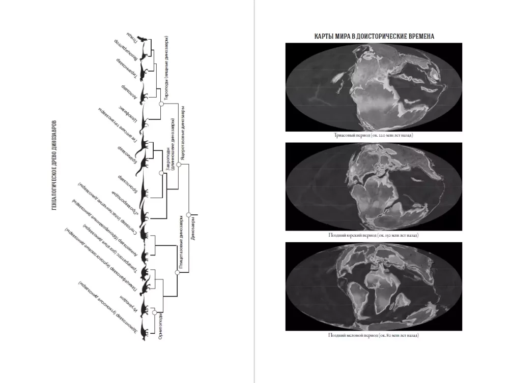 Dinozaurų laikas: Nauja senovinių driežų istorija
