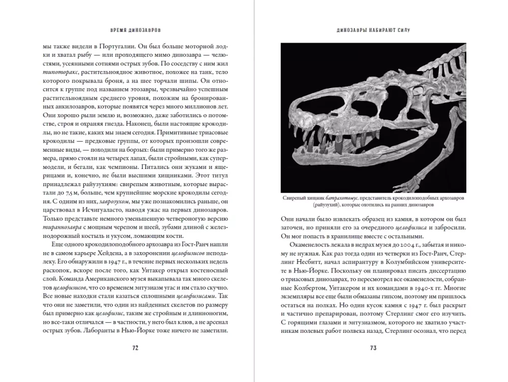 Dinozaurų laikas: Nauja senovinių driežų istorija