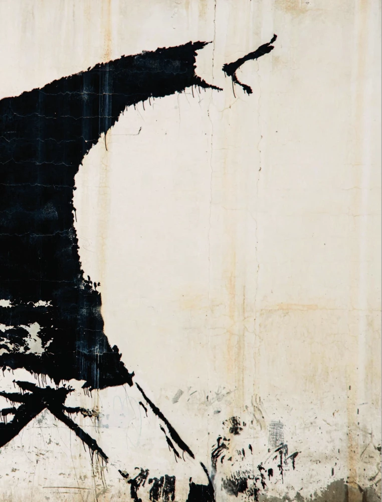 Banksy. The Unofficial Biography