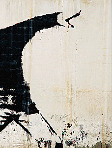 Banksy. The Unofficial Biography