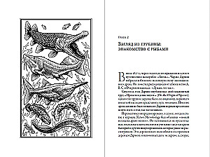 Worüber die Fische schweigen: Ein Leitfaden zum Leben der Meeresbewohner