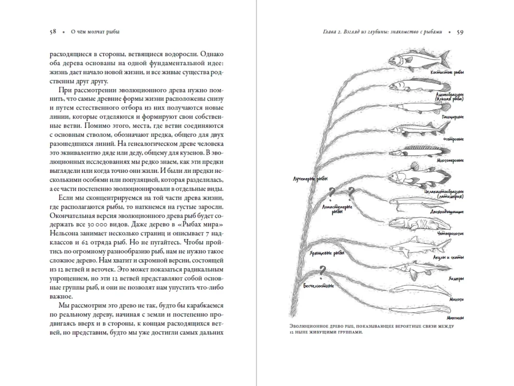 Worüber die Fische schweigen: Ein Leitfaden zum Leben der Meeresbewohner
