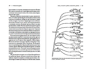 Worüber die Fische schweigen: Ein Leitfaden zum Leben der Meeresbewohner