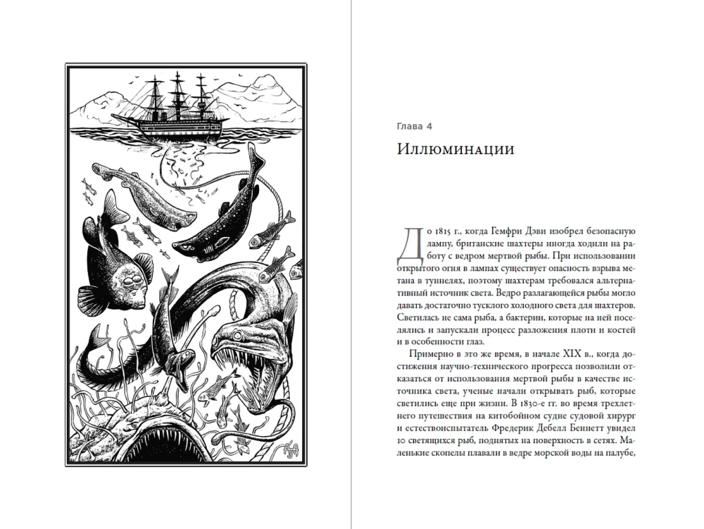 Worüber die Fische schweigen: Ein Leitfaden zum Leben der Meeresbewohner