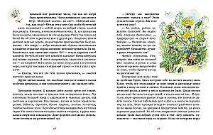 Zu Besuch bei den Zwergen und andere Geschichten