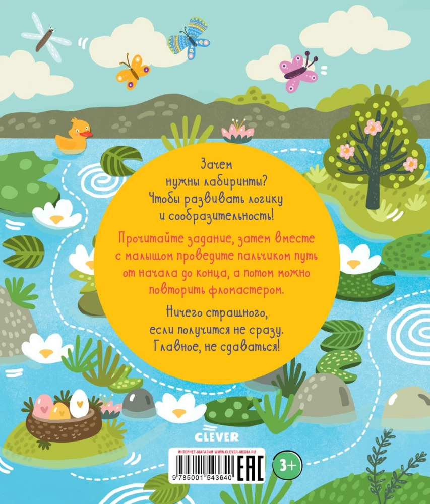 Лабиринты малыша