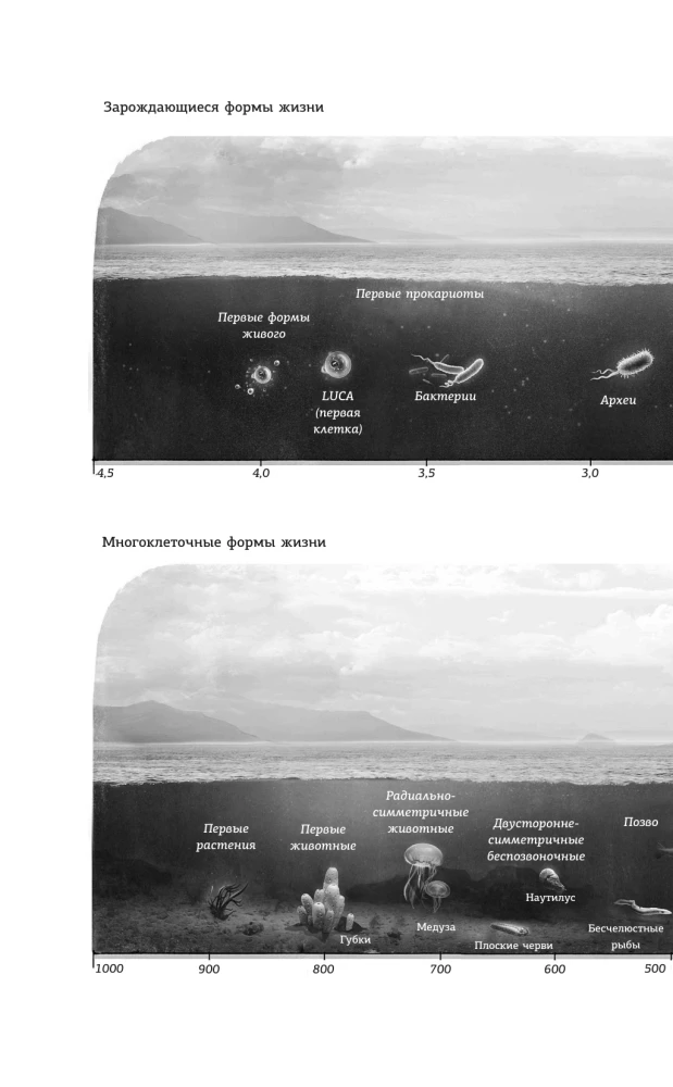 Ahnene ja teadlik. 4 miljardit aastat aju evolutsiooni