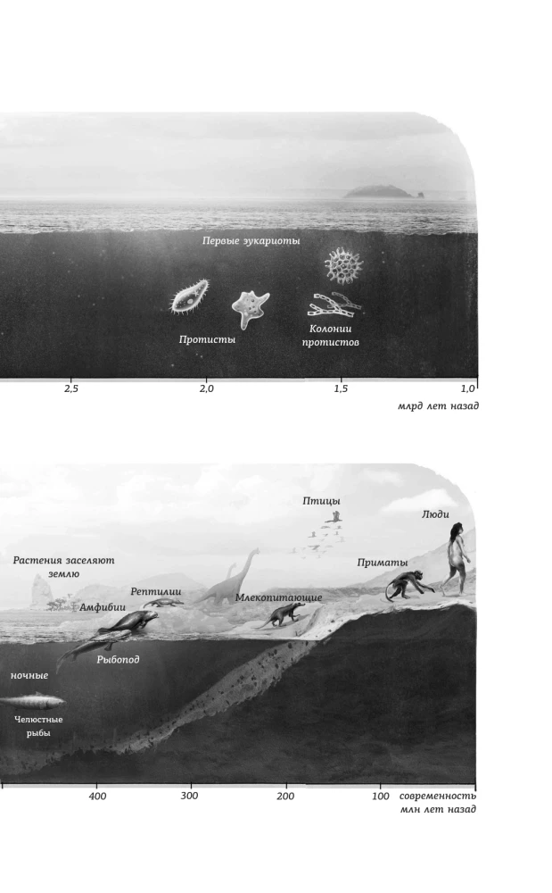 Ahnene ja teadlik. 4 miljardit aastat aju evolutsiooni