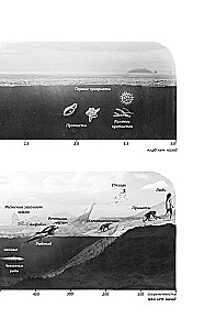 Ahnene ja teadlik. 4 miljardit aastat aju evolutsiooni