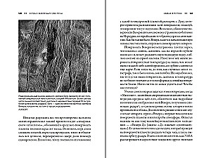 Als die Erde zwei Monde hatte: Kannibalplaneten, riesige Eisriesen, schlammige Kometen und andere Himmelskörper des nächtlichen Himmels