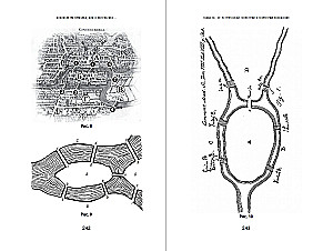 Апология математики