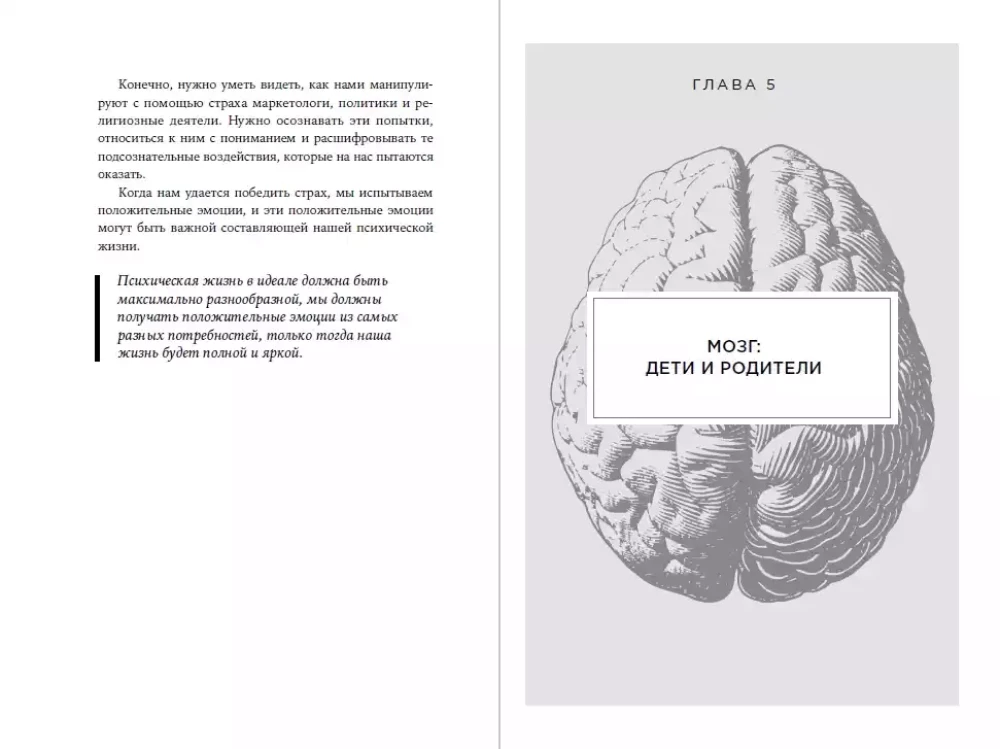 Smegenys ir jų poreikiai: Nuo maitinimo iki pripažinimo