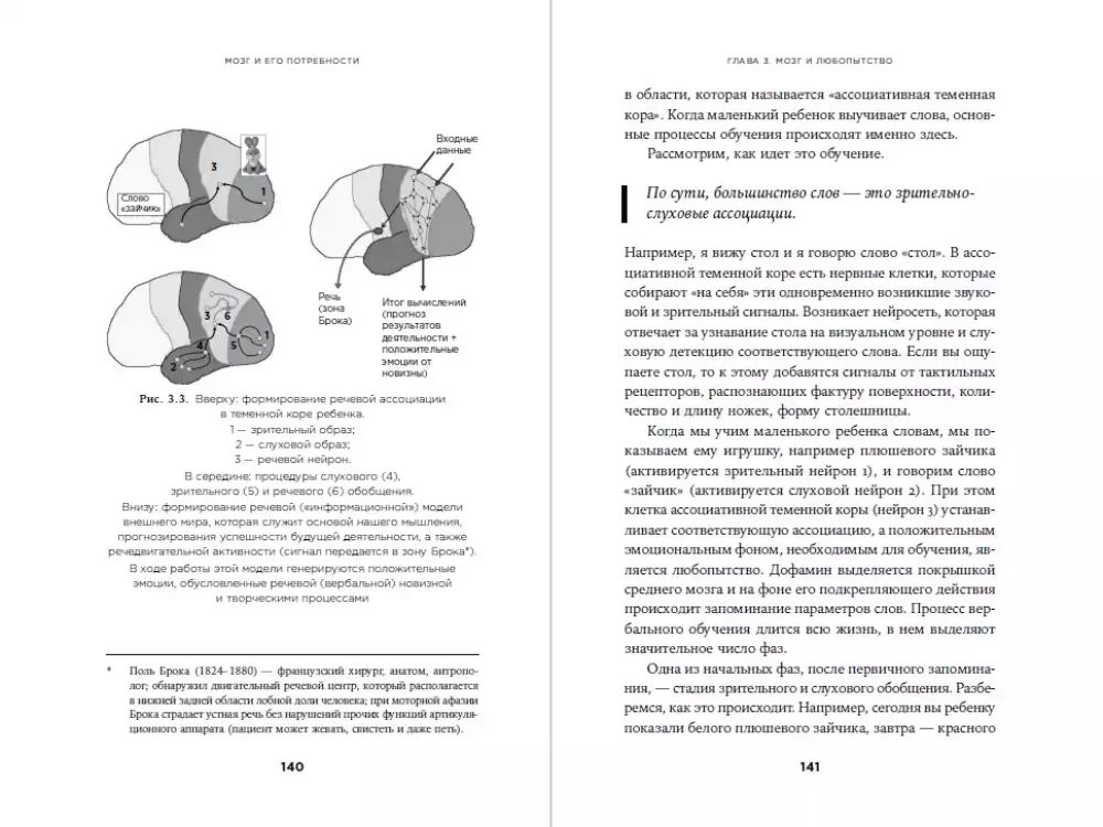 Smegenys ir jų poreikiai: Nuo maitinimo iki pripažinimo