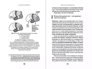 Smegenys ir jų poreikiai: Nuo maitinimo iki pripažinimo