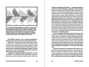Debesu magnēti: Daba un kosmiskā magnētisma principi