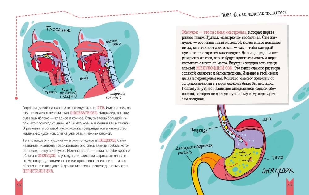 Jak zbudowany jest człowiek?