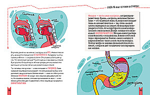 Jak zbudowany jest człowiek?