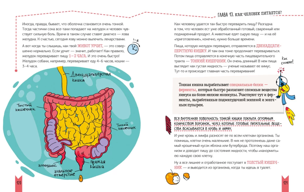 Jak zbudowany jest człowiek?