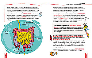 Jak zbudowany jest człowiek?