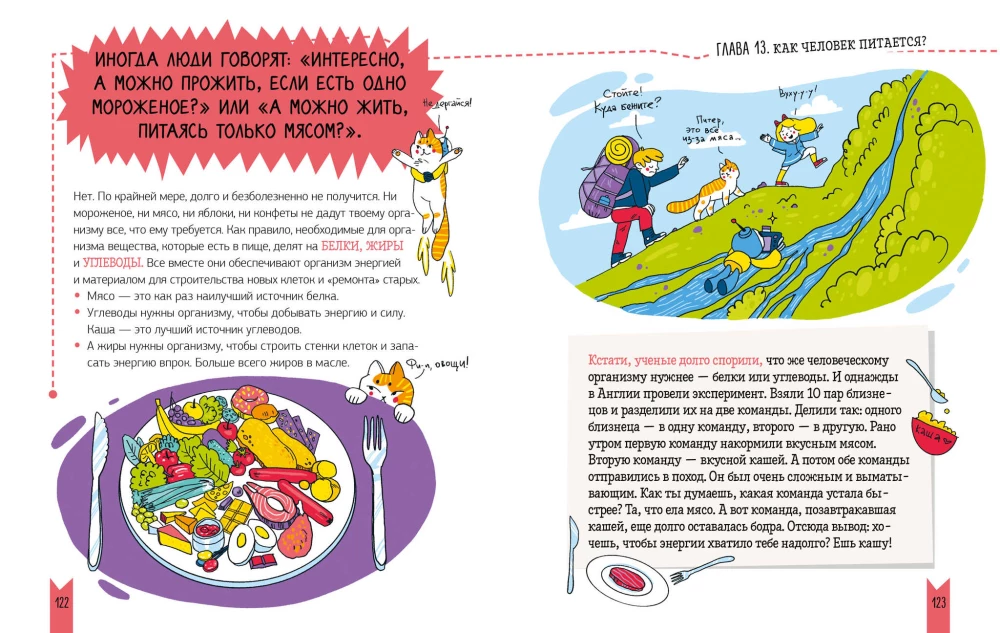 Jak zbudowany jest człowiek?