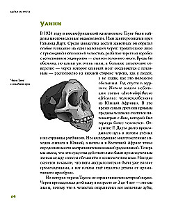 Tales from the Grotto: 50 Stories from the Lives of Ancient People