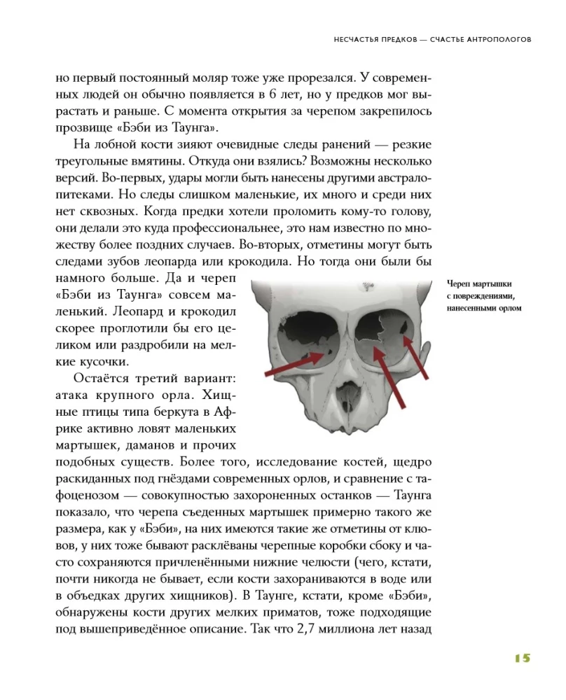 Tales from the Grotto: 50 Stories from the Lives of Ancient People