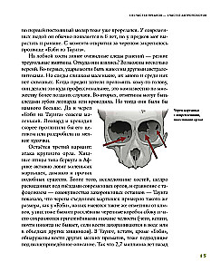 Tales from the Grotto: 50 Stories from the Lives of Ancient People