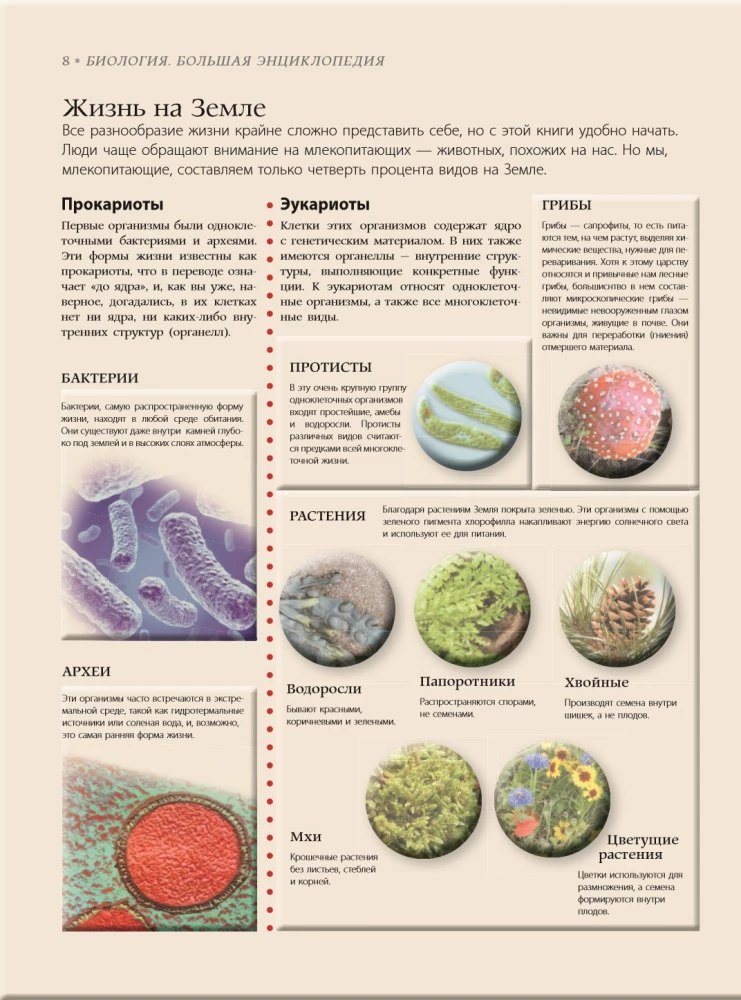 Bioloģija. Lielā enciklopēdija