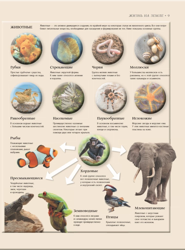 Bioloģija. Lielā enciklopēdija