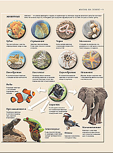 Bioloģija. Lielā enciklopēdija