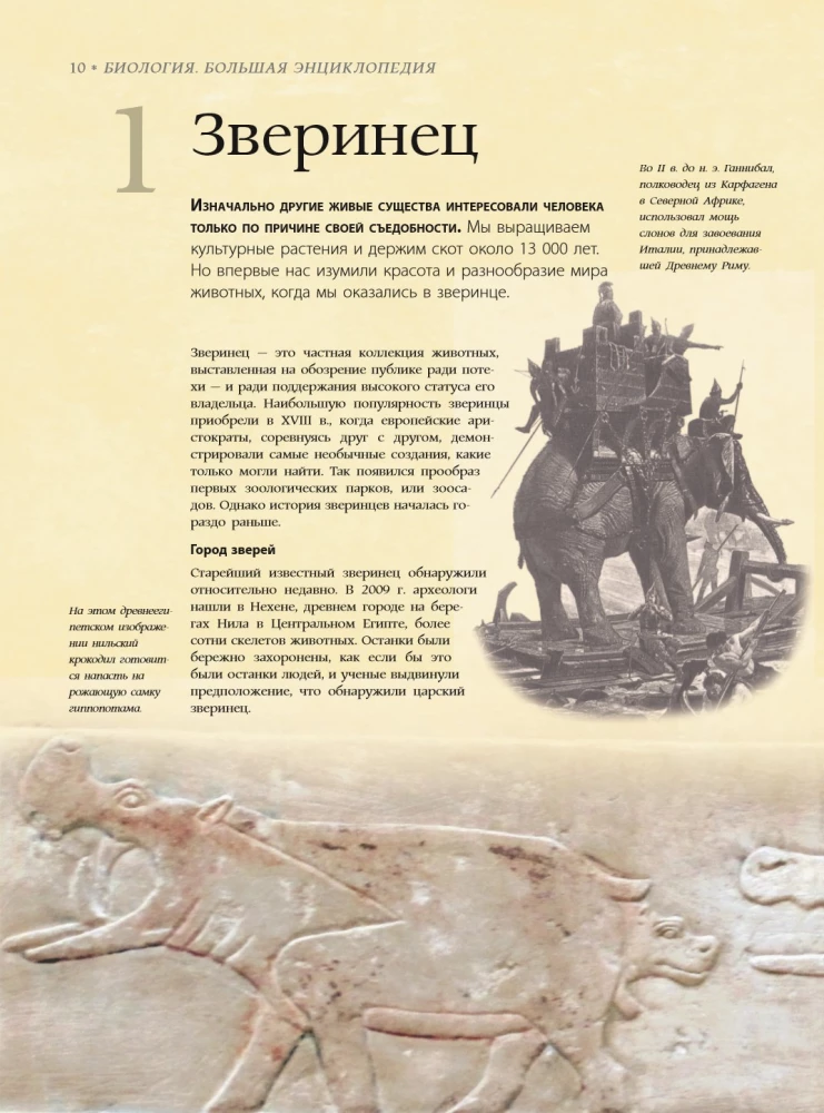 Bioloģija. Lielā enciklopēdija