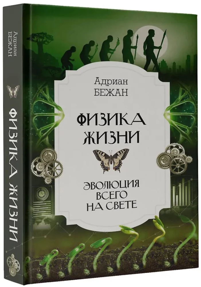 Gyvenimo fizika. Viskam pasaulyje evoliucija