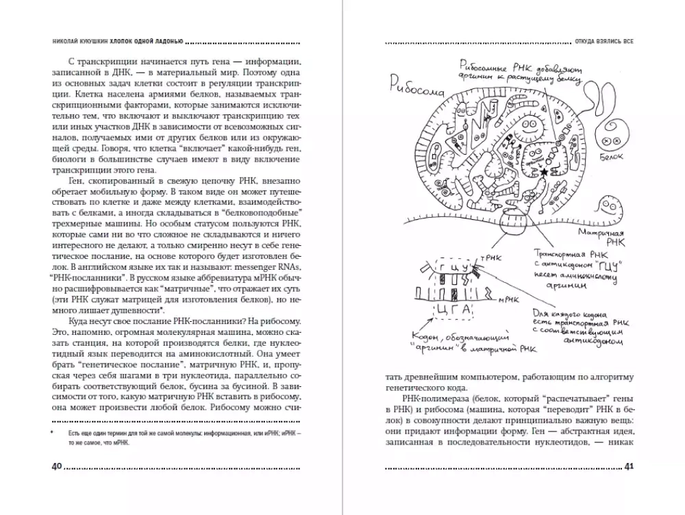Vienos delnos garsas: Kaip negyva gamta sukūrė žmogaus protą