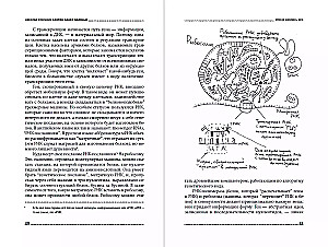 Vienos delnos garsas: Kaip negyva gamta sukūrė žmogaus protą